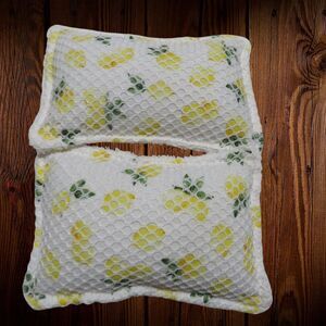 Reusable Dish Sponge, Lemon Dish Scrubby, Set of 2